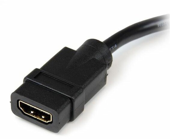HDMI F naar DVI-D M Adapter (20 cm, zwart)