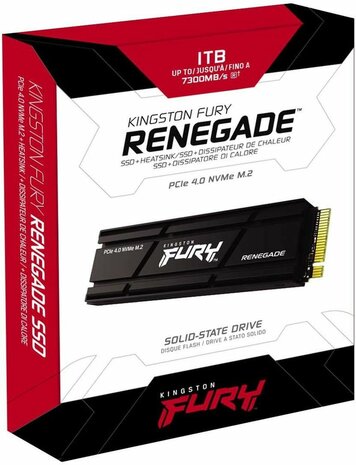 1000 GB SFYRSK/1000G FURY Renegade SSD (M.2 2280, PCIe 4.0 x4 NVMe, integrated heatsink)