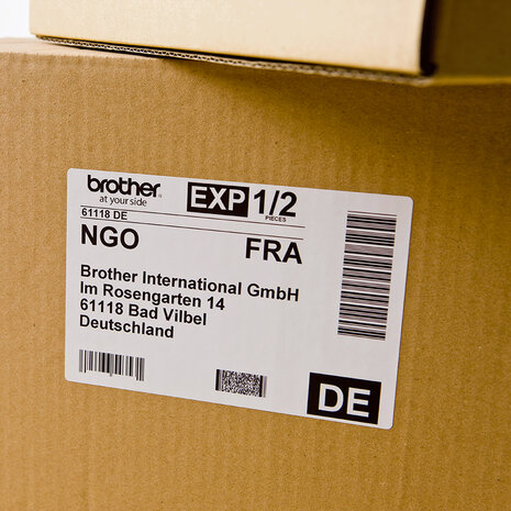 DK-11202 Labelrol (300-pack, 62 x 100 mm)