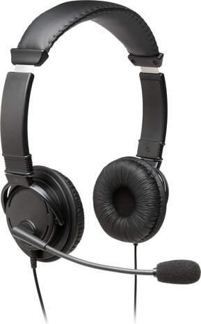 Hi-Fi Headset (on-ear, USB, zwart)
