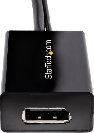 DVI naar DisplayPort Adapter (USB Power)