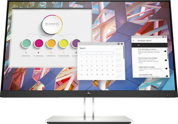 E24 LED 23,8&quot;, Full HD 1920 x 1080, 5 ms, ingebouwde USB-hub, VESA, zwart/zilver