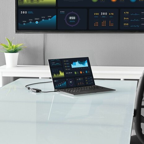 USB-C naar VGA adapter (18 cm, zwart)
