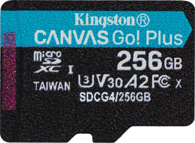 Canvas Go! Plus Flash memory card 256 GB (A2, Video Class V30, UHS-I U3, Class 10, microSDXC UHS-I)