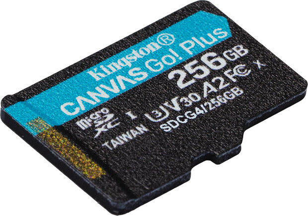 Canvas Go! Plus Flash memory card 256 GB (A2, Video Class V30, UHS-I U3, Class 10, microSDXC UHS-I)