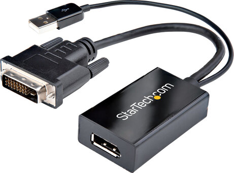 DVI naar DisplayPort Adapter (USB Power)