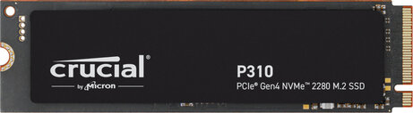 1000 GB P310 SSD (M.2 2280, PCIe Gen 4, NVMe)