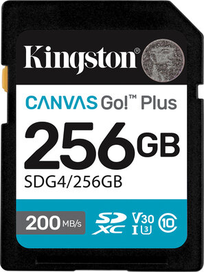 SDG4/256GB Canvas Go! Plus Flash memory card 256 GB (Video Class V30, UHS-I U3, Class 10, SDXC UHS-I)