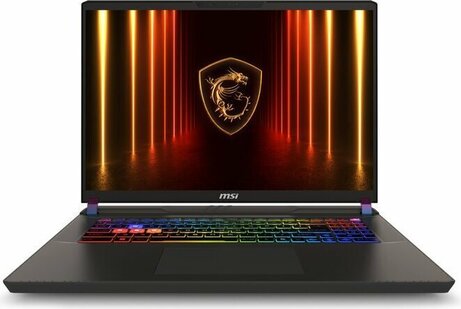 Vector 17 HX AI A2XWJG-057BE (17" QHD+ 240Hz, Intel Core Ultra 9-275HX, 32 GB DDR5, 1000 GB NVMe PCIe SSD, GeForce RTX 5090 24 GB, Windows 11 Home)